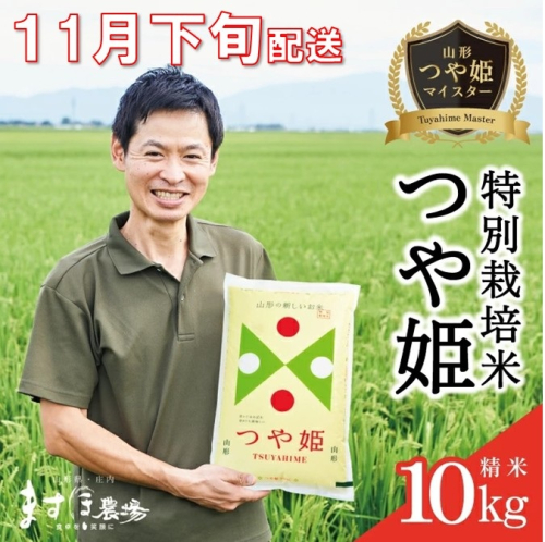 SE0407　11月下旬配送／令和7年産【精米】つや姫マイスターが作った 特別栽培米『つや姫』10kg(5kg×2袋)［減農薬・減化学肥料］ MA 2179384 - 山形県酒田市