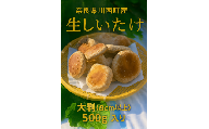 奈良県川西町産「生しいたけ」　大判（８cm以上）の生しいたけ500グラム入り　生しいたけ／生椎茸／生シイタケ／肉厚／大判／国産／安心／菌床／産直／産地直送／新鮮／採れたて／奈良県産／健康／ヘルシー／きのこ／キノコ／料理／鍋／焼き／無農薬／ギフト／美味／旨味／野菜／料理／食品／贅沢