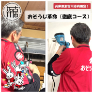 おそうじ革命(徹底コース)《 掃除 お掃除 ハウスクリーニング エアコンクリーニング 光触媒 Keskin 抗菌 》【2408L16103】