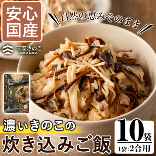 国産のえのきやきのこ使用！濃いきのこの炊き込みご飯の素(2合用×10袋) 国産 だし醤油 きのこご飯 椎茸 しいたけ 【三笠えのき茸生産組合】akn010-17 2179820 - 鹿児島県阿久根市
