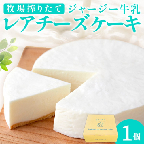 牧場のチーズケーキ（生）1個 2179828 - 京都府京丹後市