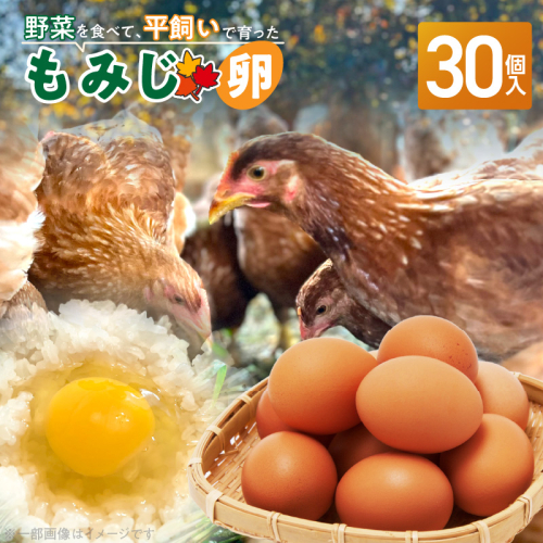 【医師監修】野菜を食べて育った平飼いの卵「もみじ卵」（30個入り）［154T02］ 2179885 - 愛知県小牧市