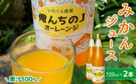 みかん ジュース 選べる 720ml×2本 青島 ミカン 柑橘 蜜柑 ビタミン おいしい 果樹園 直送 甘い 有機肥料 テロワール オレンジジュース オレンジ みかん いたくら農園 静岡県 牧之原市