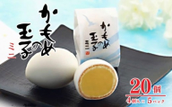 かもめの玉子 ミニ 4個入×5パック (計20個) お菓子 おかし スイーツ 銘菓 お土産 おみやげ あんこ 白あん チョコ 贈答 さいとう製菓 三陸 岩手県 大船渡市