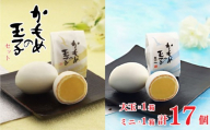 かもめの玉子 レギュラーサイズ＆ミニサイズセット ( レギュラー9個入×1箱 / ミニ8個入×1箱 ) お菓子 おかし スイーツ 銘菓 お土産 おみやげ あんこ 白あん チョコ 贈答 さいとう製菓 三陸 岩手県 大船渡市
