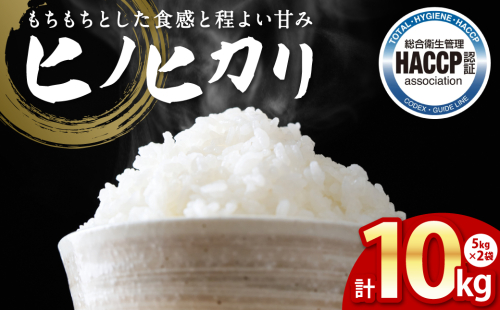 【先行予約】 ヒノヒカリ 5kg×2袋 合計10kg  熊本県 八代市産 米 お米 精米 白米 国産 【2025年11月下旬より順次発送】 2180116 - 熊本県八代市