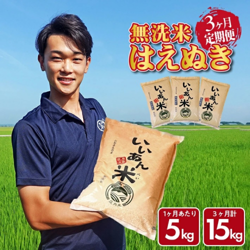 SF0253　【3回定期便】無洗米はえぬき　5kg×3回(計15kg)　農家直送『いいあん米』AG 2180118 - 山形県酒田市