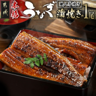職人手焼きの本格うなぎ蒲焼き1尾_LG8-3310