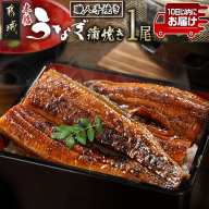 職人手焼きの本格うなぎ蒲焼き1尾≪みやこんじょ特急便≫_LG8-3310-Q