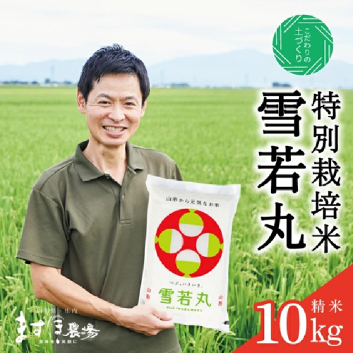 SD0198　令和7年産【精米】つや姫マイスターが作った 特別栽培米  雪若丸　 10kg(5kg×2袋)　［減農薬・減化学肥料］ MA 2180122 - 山形県酒田市