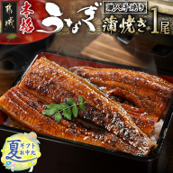 【お中元】職人手焼きの本格うなぎ蒲焼き1尾_LG8-3310-SG