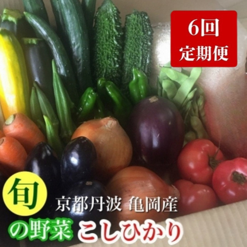 【6回定期便】京都丹波・亀岡発 旬の野菜・こしひかり 詰め合わせセット (隔月6回お届け)● ※北海道・沖縄・離島への配送不可 2180158 - 京都府亀岡市