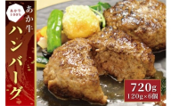 B299-15 あか牛100％ハンバーグ セット（あか牛ハンバーグ120g×6個）