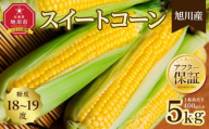 地元テレビで紹介![先行予約]糖度18〜19度! 北海道旭川産スイートコーン約5kg (2026年8月中旬発送開始予定)_05256