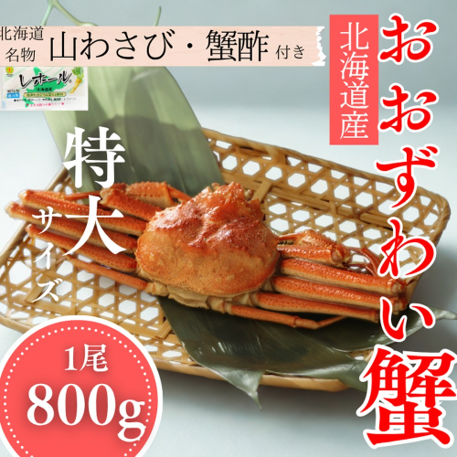 20-290 【北海道産】特大サイズ オオズワイガニ姿　800g以上1尾 ｜ 蟹酢・山わさび付　かに　おおずわいがに 2180348 - 北海道紋別市