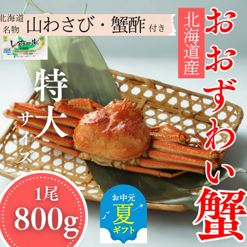 20-291 【お中元】【北海道産】特大サイズ オオズワイガニ姿　800g以上1尾 ｜ 蟹酢・山わさび付　かに　おおずわいがに 2180349 - 北海道紋別市