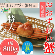 20-291 【お中元】【北海道産】特大サイズ オオズワイガニ姿　800g以上1尾 ｜ 蟹酢・山わさび付　かに　おおずわいがに