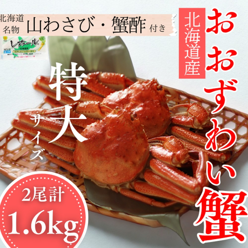 35-49 【北海道産】オオズワイガニ姿　特大サイズ2尾計1.6kg ｜ 蟹酢・山わさび付　かに　おおずわいがに 2180356 - 北海道紋別市