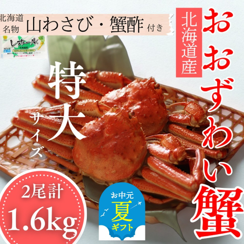 35-50 【お中元】【北海道産】オオズワイガニ姿　特大サイズ2尾計1.6kg ｜ 蟹酢・山わさび付　かに　おおずわいがに 2180357 - 北海道紋別市