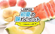 フルーツ王国山形からの贈り物～初夏の味わいセット～（3回） FSY-2220