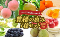 フルーツ王国山形からの贈り物 ～豊穣の恵み7種セット～ FSY-2221