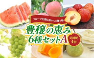 フルーツ王国山形からの贈り物 ～豊穣の恵み6種セットA～ FSY-2222