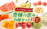 フルーツ王国山形からの贈り物 ～豊穣の恵み6種セットB～ FSY-2223