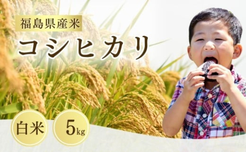 【先行予約】 コシヒカリ 白米 5㎏ (5㎏×1袋) ｜ 福島 福島県産 福島産 精米 令和7年産  令和7年産米 武田ファーム サムランド【149448-001-01】 2180766 - 福島県南相馬市