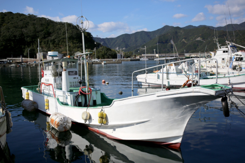 喜盛丸　遊漁船乗船券　乗り合い　1回分／錦の海　釣り　ルアーフィッシング　アウトドア　三重県　大紀町 2180790 - 三重県大紀町