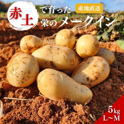 じゃがいも メークイン 5kg 産地直送 野菜 ジャガイモ 芋 赤土 加西市 栄町 2180800 - 兵庫県加西市