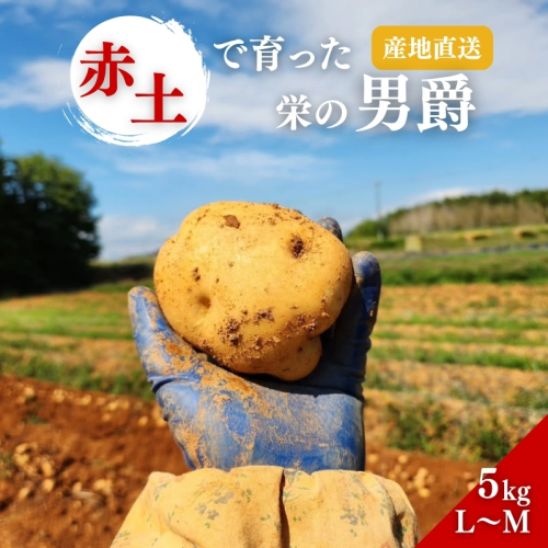 じゃがいも 男爵 5kg 産地直送 野菜 ジャガイモ 芋 赤土 加西市 栄町 2180801 - 兵庫県加西市