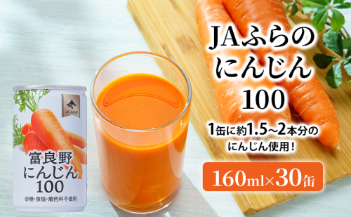 JAふらの 人参ジュース ［富良野にんじん100］(160ml×30缶セット) にんじんジュース 人参 にんじん 野菜 飲料 ジュース 野菜ジュース 野菜飲料 北海道 富良野 ふらの 2180911 - 北海道富良野市