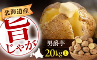 【先行予約】 北海道産 じゃがいも 男爵芋 20kg ※2025年9月下旬以降順次発送 《喜茂別町》【Aコープようてい】 じゃがいも ジャガイモ 新じゃが 男爵 男爵芋 ポテト 芋 じゃが芋 旬 イモ 野菜 農作物 期間限定 ほくほく しっとり 産地直送 旬 お取り寄せ 北海道 北海道のジャガイモ 食品 根菜 産直 国産 常備野菜 常温 [AJAK009] 15000 15000円
