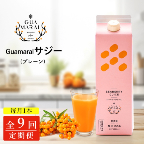 【定期便9カ月】サジー グアマラルサジー 1000ml　毎月1本9カ月コース｜サジージュース サジー シーベリー 沙棘 グアマラル 健康ドリンク 健康 美容 栄養 果汁 鉄分補給 栄養補給 健康食品 _DX28 2181142 - 茨城県古河市