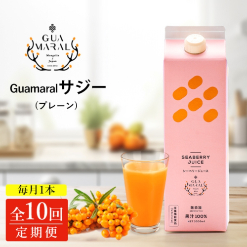 【定期便10カ月】サジー グアマラルサジー 1000ml　毎月1本10カ月コース｜サジージュース サジー シーベリー 沙棘 グアマラル 健康ドリンク 健康 美容 栄養 果汁 鉄分補給 栄養補給 健康食品 _DX29 2181207 - 茨城県古河市