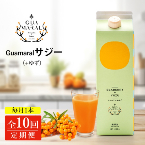 【定期便10カ月】サジー グアマラルサジー＋ゆず 1000ml　毎月1本10カ月コース｜サジージュース サジー 沙棘 グアマラル 健康ドリンク 健康 美容 栄養 果汁 鉄分補給 栄養補給 健康食品 _DX34 2181223 - 茨城県古河市
