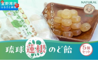 琉球蓮根のど飴 (100g) × 5袋 セット [ 国産 無添加 保存料不使用 添加物不使用 ] | 【令和５年度 宜野湾市特産品推奨認定】 自然栽培の蓮根と甜菜糖でつくったのど飴 体に優しい | NATURAL TONE | のどあめ あめ 飴 アメ キャンディ ドロップ | 蓮根パワー 食物繊維 | 沖縄県 宜野湾市 送料無料
