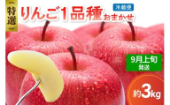 【2025年9月上旬発送】 【特選】 旬の美味しい りんご 約3kg 青森産 【おまかせ1品種】