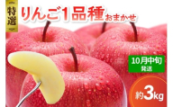 【2025年10月中旬発送】 【特選】 旬の美味しい りんご 約3kg 青森産 【おまかせ1品種】