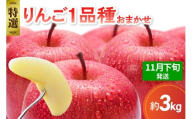 【2025年11月下旬発送】 【特選】 旬の美味しい りんご 約3kg 青森産 【おまかせ1品種】