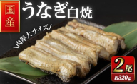 職人手焼き 国産うなぎ白焼 約160ｇ×2尾 肉厚 大サイズ 特大 鰻 ウナギ 白焼 【逢隈亭】sh128
