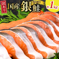 訳あり 国産 減塩 厚切り 塩銀鮭 切身 計1kg [足利本店 宮城県 気仙沼市 20565397] サーモン 鮭 さけ サケ シャケ 魚 海鮮 魚介 甘塩味 規格外 不揃い 鮭切身 切り身 簡易包装 家庭用 訳アリ 塩分控えめ 無添加 冷凍