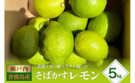 【2025年11月初旬～発送】瀬戸内特産 そばかすレモン 約5kg ku154-012-25