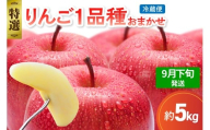 【2025年9月下旬発送】 【特選】 旬の美味しい りんご 約5kg 青森産 【おまかせ1品種】