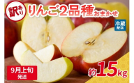 【2025年9月上旬発送】 【訳あり】旬の美味しいりんご 約15kg 青森産 【おまかせ2品種】