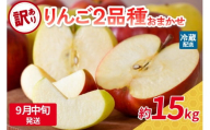 【2025年9月中旬発送】 【訳あり】旬の美味しいりんご 約15kg 青森産 【おまかせ2品種】