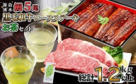【二の丑(7/31)までに配送】贅沢セット！鹿児島県産 霧島湧水鰻5尾(1尾156g以上)×黒毛和牛ロースステーキ(200g×2)×有機栽培緑茶「夏井」(100g)(総計1.2kg以上) 鹿児島県産 国産 うなぎ ウナギ 真空パック 黒毛和牛 牛肉 ステーキ 緑茶 お茶 e2-003-us2