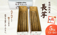長芋【秋掘り】 信州 長野市 お取り寄せ とろろ 長いも ながいも 山芋 芋 いも 野菜 根菜