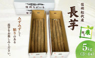 長芋【春掘り】 信州 長野市 お取り寄せ とろろ 長いも ながいも 山芋 芋 いも 野菜 根菜