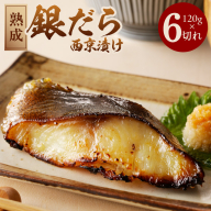【年内発送】銀鱈 西京漬け 120g×6切れ【小分け 熟成 銀だら ぎんだら ギンダラ 海産物 魚 惣菜 西京焼き 味噌 お酒のあて 訳あり サイズ不揃い 家計応援 切り落とし】 G1847y